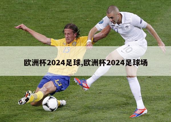 欧洲杯2024足球,欧洲杯2024足球场