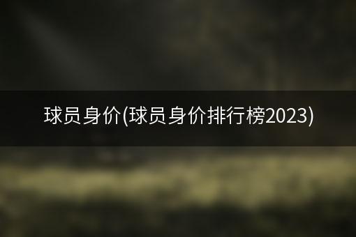 球员身价(球员身价排行榜2023)