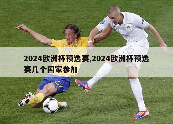 2024欧洲杯预选赛,2024欧洲杯预选赛几个国家参加