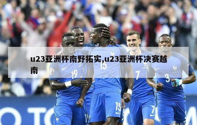 u23亚洲杯南野拓实,u23亚洲杯决赛越南