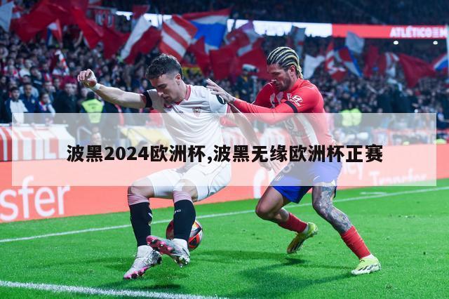 波黑2024欧洲杯,波黑无缘欧洲杯正赛