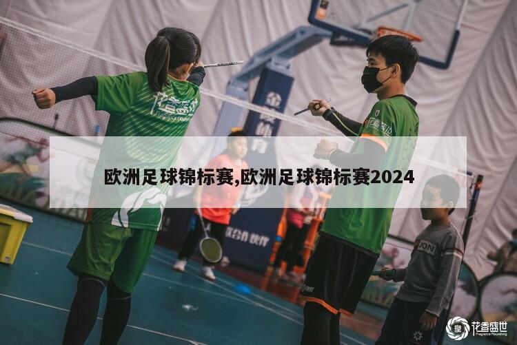 欧洲足球锦标赛,欧洲足球锦标赛2024