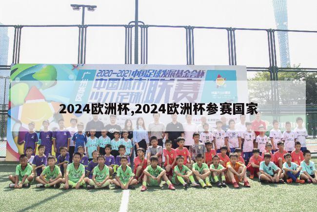 2024欧洲杯,2024欧洲杯参赛国家