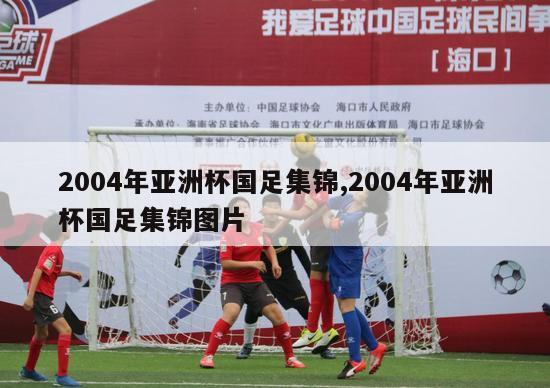 2004年亚洲杯国足集锦,2004年亚洲杯国足集锦图片