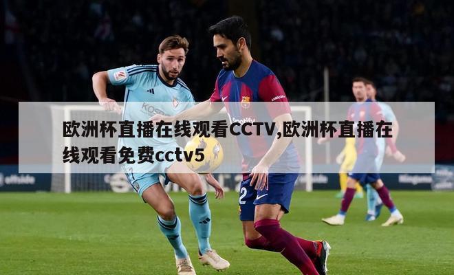 欧洲杯直播在线观看CCTV,欧洲杯直播在线观看免费cctv5