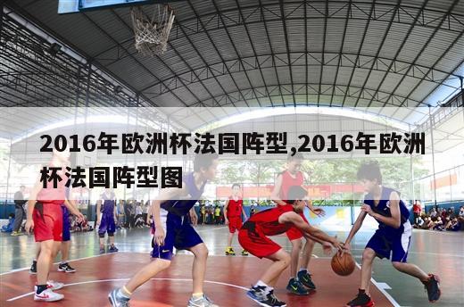 2016年欧洲杯法国阵型,2016年欧洲杯法国阵型图