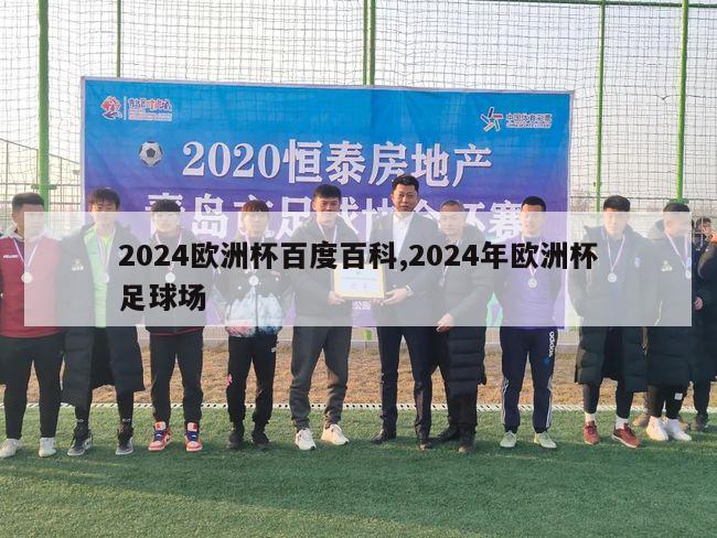 2024欧洲杯百度百科,2024年欧洲杯足球场